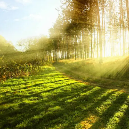 000-DEATH-NOTICES-missing-photo-1