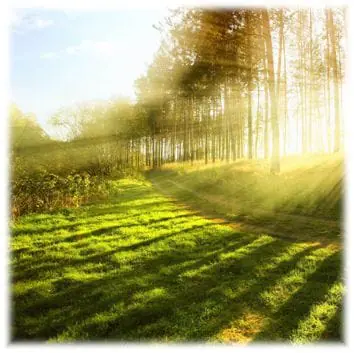 000-DEATH-NOTICES-missing-photo-002-5