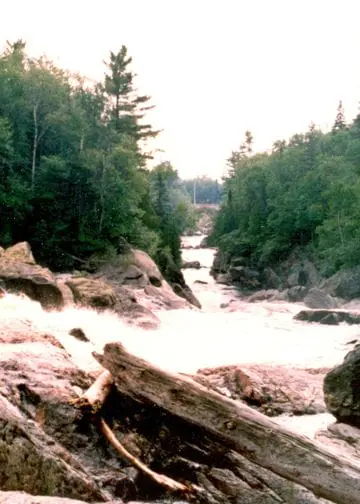 Schwartkop-Gesche-MM